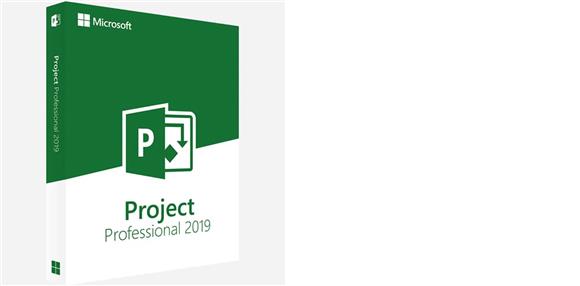 Project Professional 2024